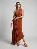 Delfina | Robe maxi plissée une épaule